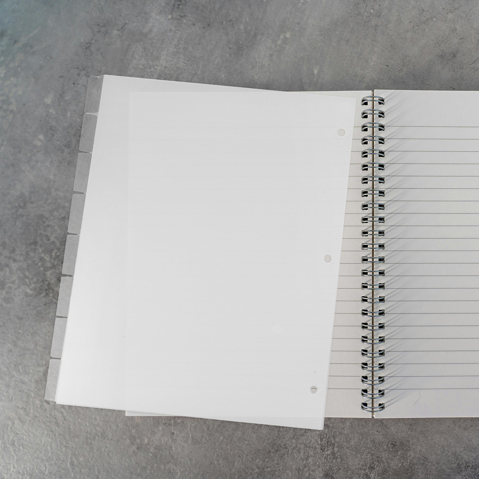 Index Tab Divider - 8 Sayfa İndeks Bölücü Sağlam Plastik