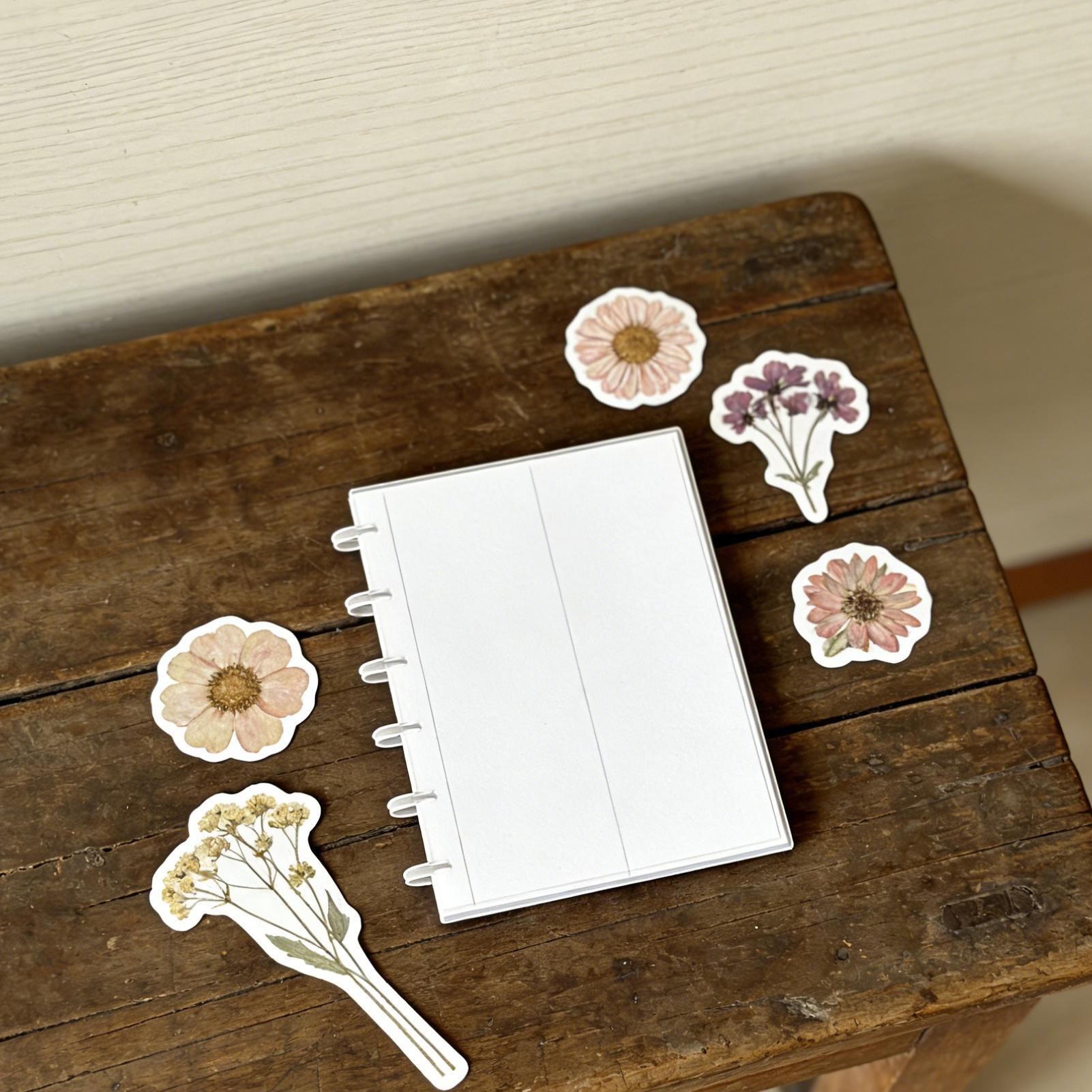 Aşağı kaydırmalı fotoğraf şeri - Binding Comb Plastic incelemesi ve fiyatı