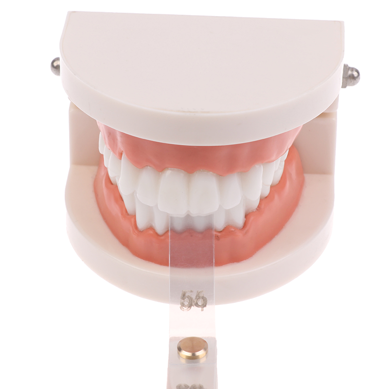 /ACR/Dental Interproksimal Red - Ruler Set Transparent incelemesi ve fiyatı